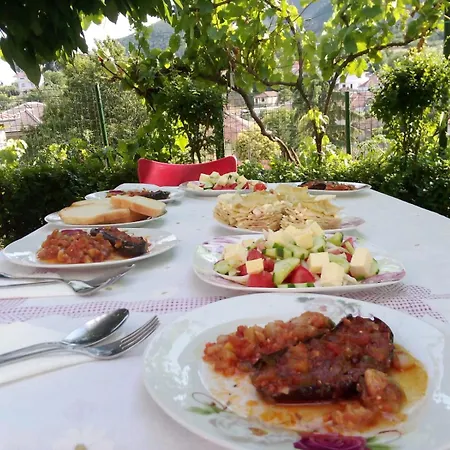 Ansi Klean * Udenisht