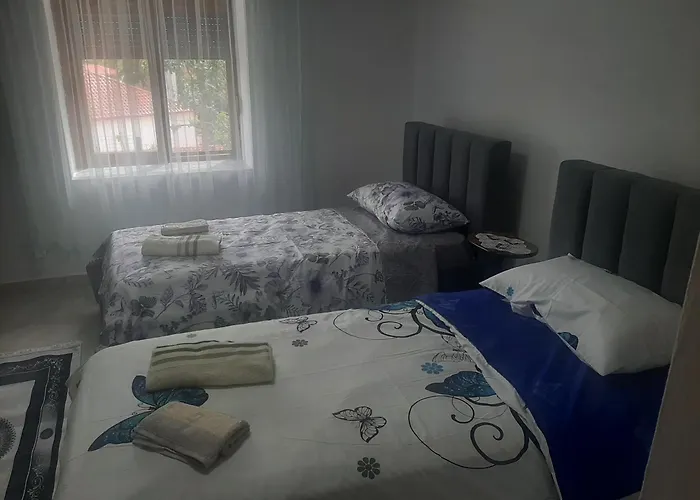 Ansi Klean Udënisht