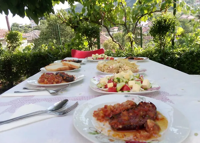 Ansi Klean * Udënisht