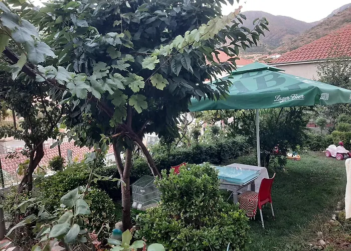 Ansi Klean * Udënisht