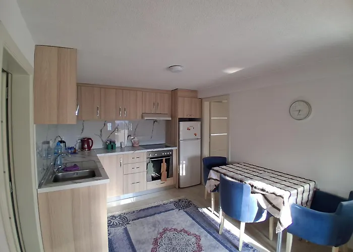 Ansi Klean Udënisht