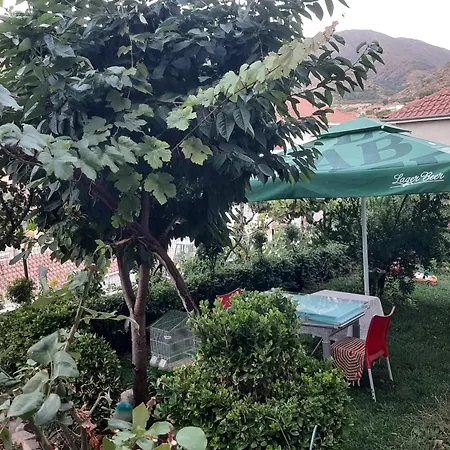 Ansi Klean * Udenisht